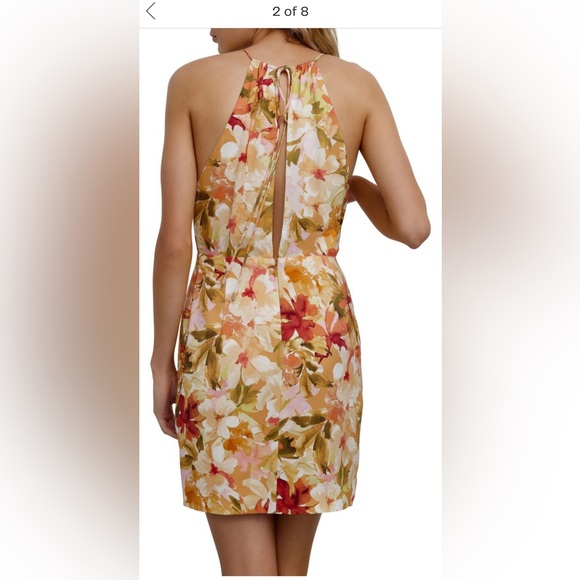 SIGNIFICANT OTHER -NWT- Chiara Floral Print Tie Back Minidress - Picture 10 of 14